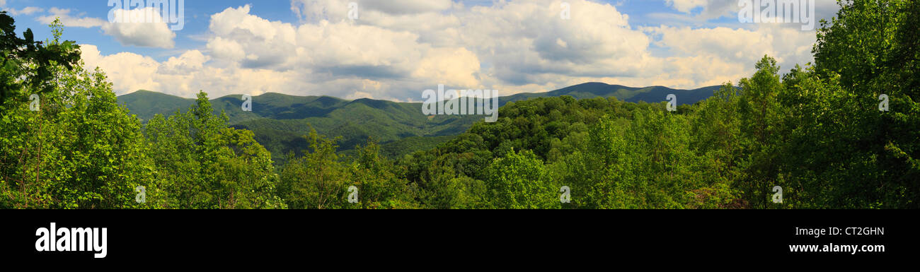 HOMESTEAD ROAN MOUNTAIN OVERLOOK, ROAN MOUNTAIN STATE PARK, ROAN MOUNTAIN, TENNESSEE, USA Stockfoto