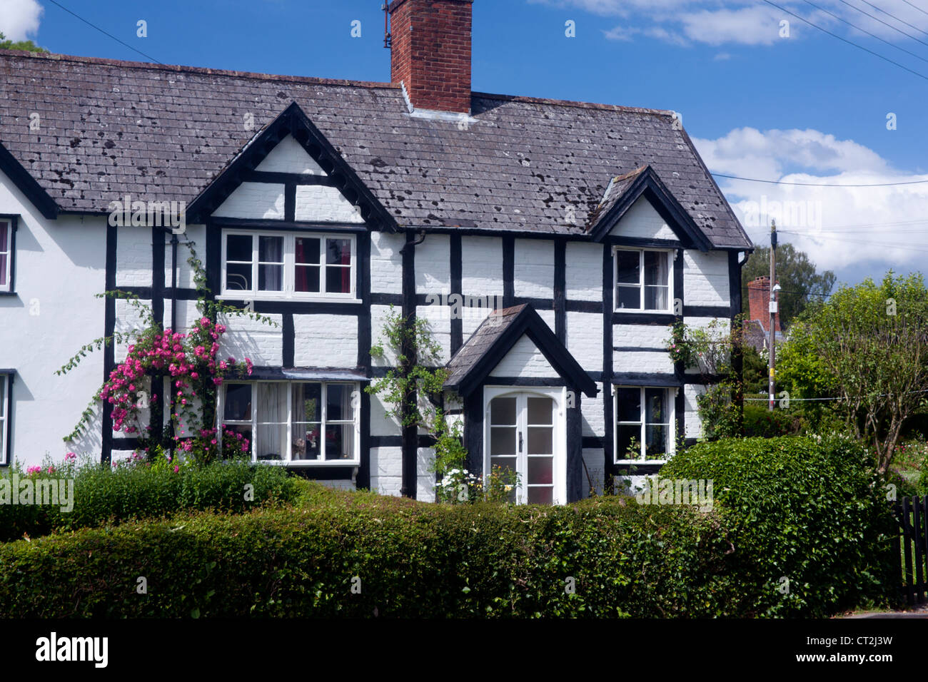 Traditionellen schwarzen und weißen Steinhaus typisch für Land Welsh Grenzgebiet Berriew Montgomeryshire Powys Mid Wales UK Stockfoto