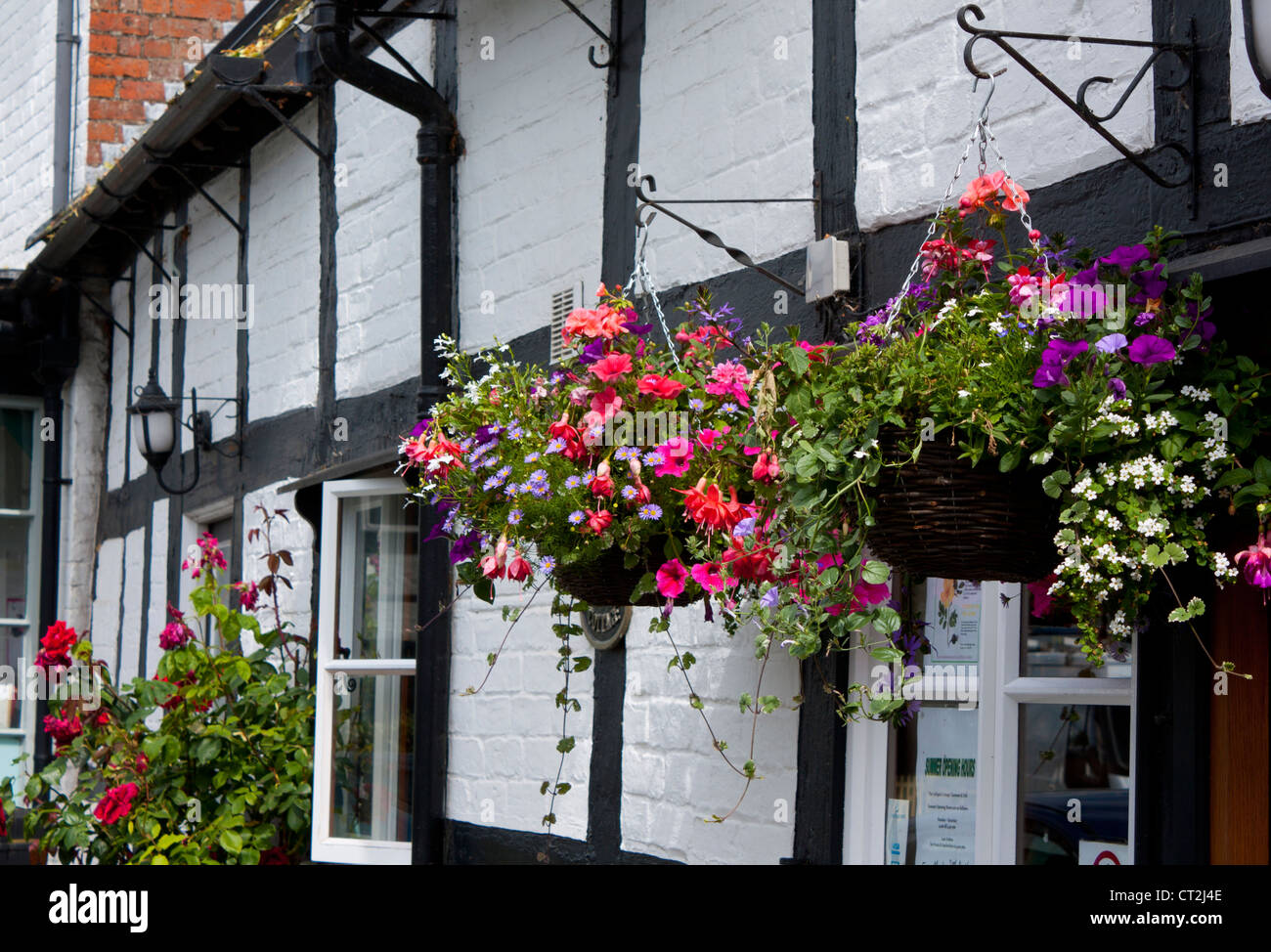 Blume, Korb und traditionellen schwarzen und weißen Haus / Gebäude (Café) Berriew Montgomeryshire Powys Mid Wales UK Stockfoto