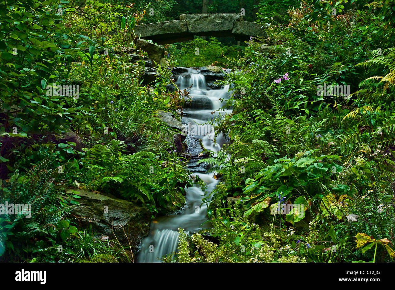 sanft mäandernden Bach, Delaware, USA Stockfoto