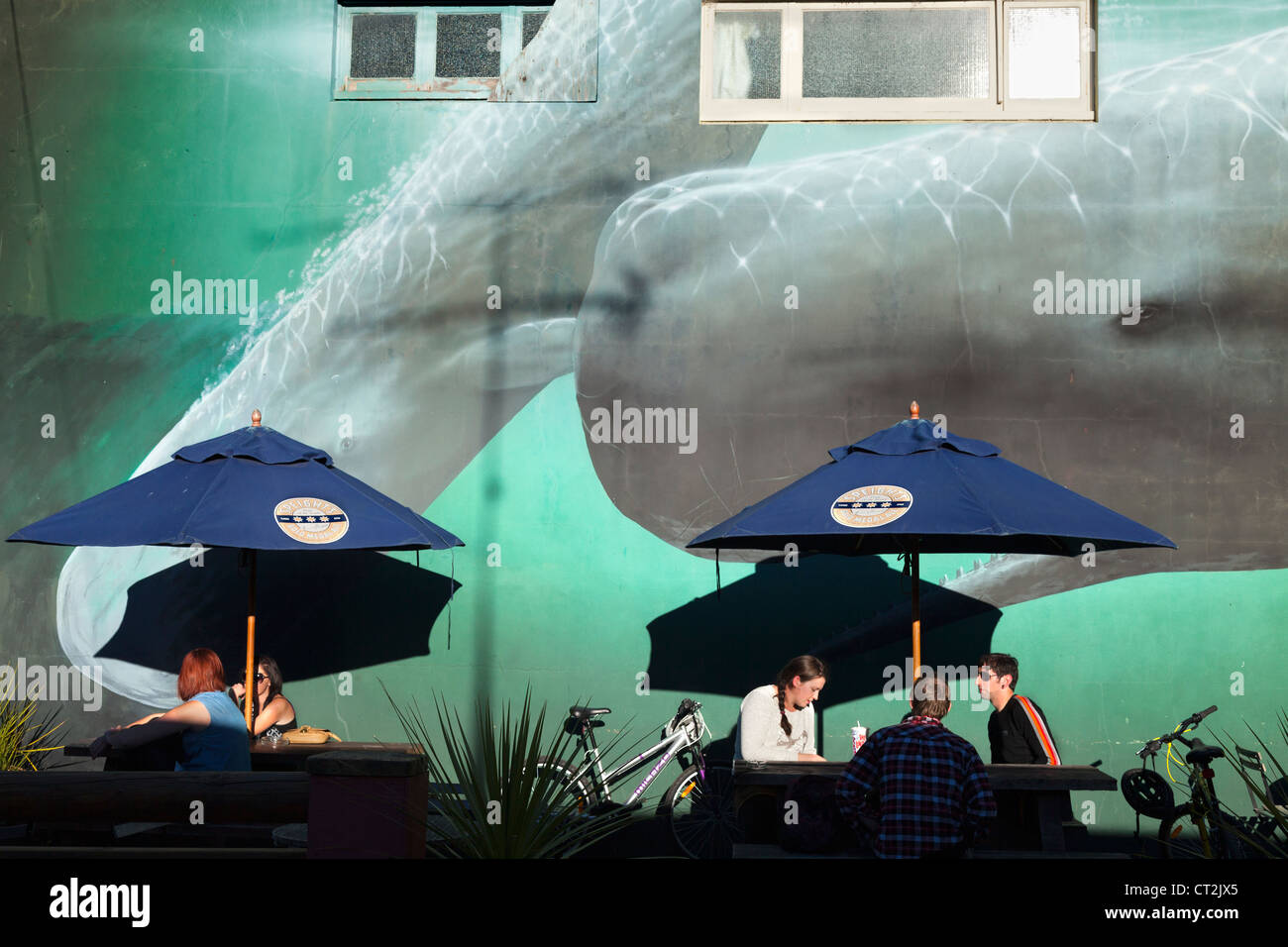 Whale watching Wandbild im Restaurant in Kaikoura, Südinsel von Neuseeland 4 Stockfoto