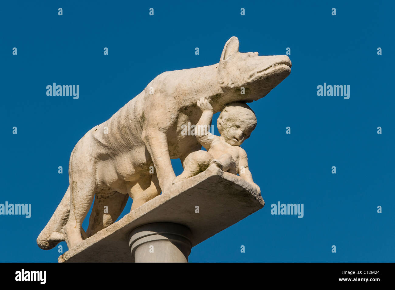 Nahaufnahme der Säule mit der Statue der Contraden Lupa Wölfin, Dom von Siena (Duomo di Siena), Toskana, Italien Stockfoto