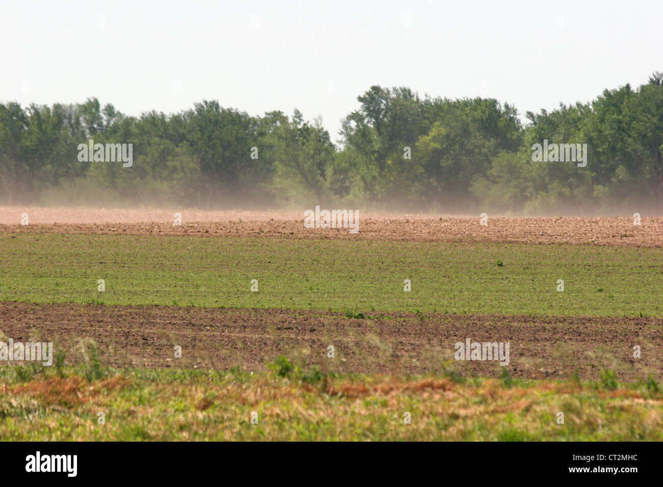 Ein Feld mit Staub weht in Minnesota Stockfoto