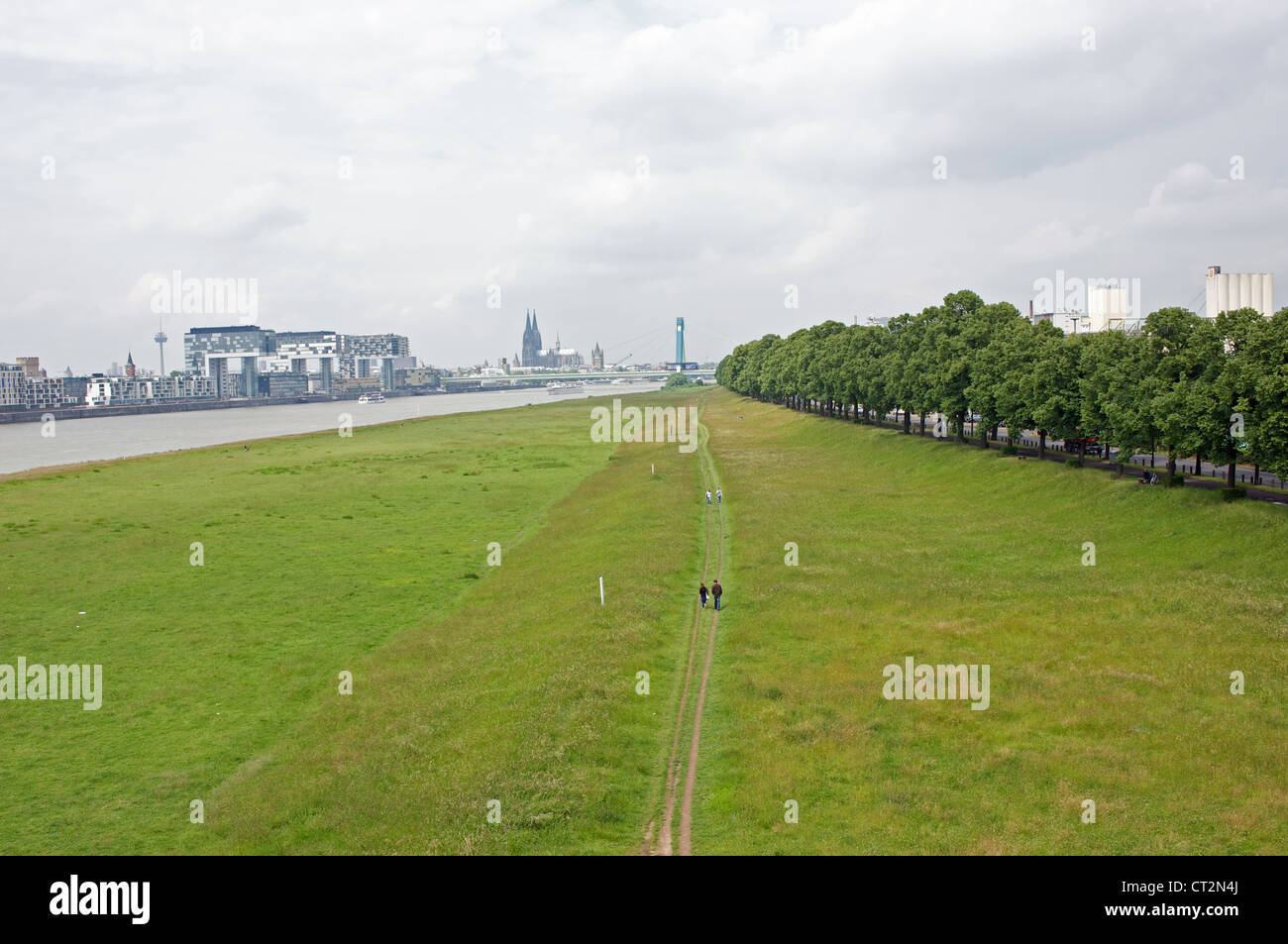 Aue am Ufer des Flusses Rhein Köln Stockfoto