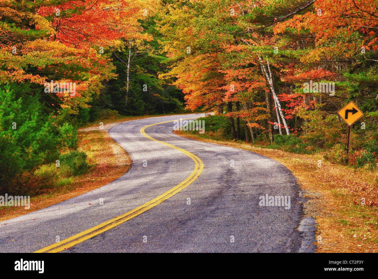 Eine kurvenreiche Straße Kurven durch herbstliche Bäume in malerischen Neuengland Stockfoto