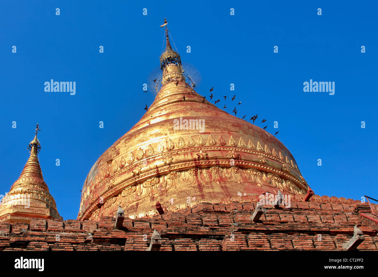 Chedi Dhammayazika Paya (Pagode) | Bagan (Pagan) | Myanmar (Burma) Stockfoto