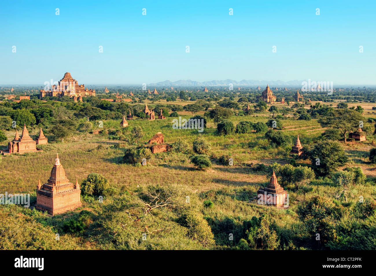 Ebene der Tempel um Dhammayangyi | Bagan (Pagan) Stockfoto
