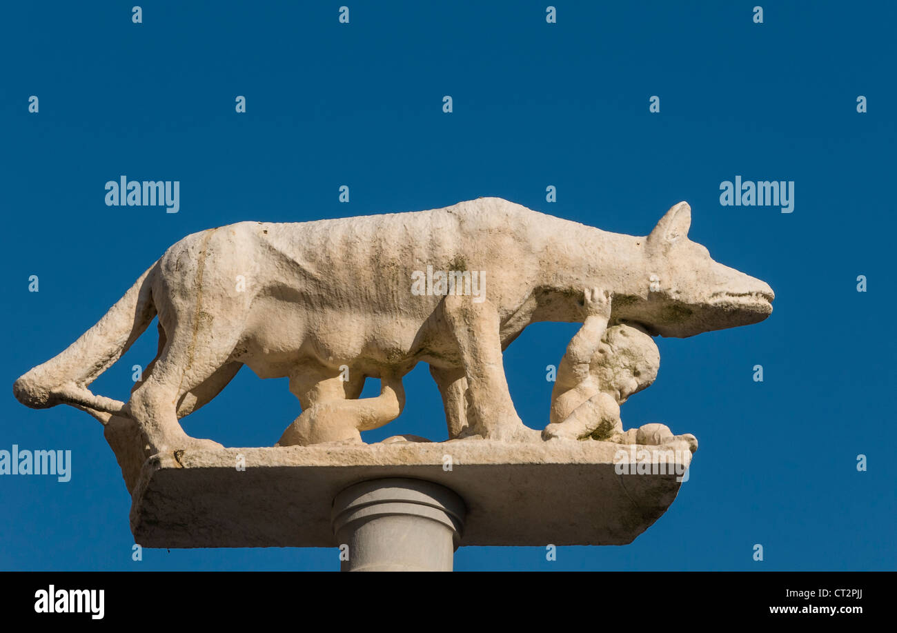 Nahaufnahme der Säule mit der Statue der Contraden Lupa Wölfin, Dom von Siena (Duomo di Siena), Toskana, Italien Stockfoto