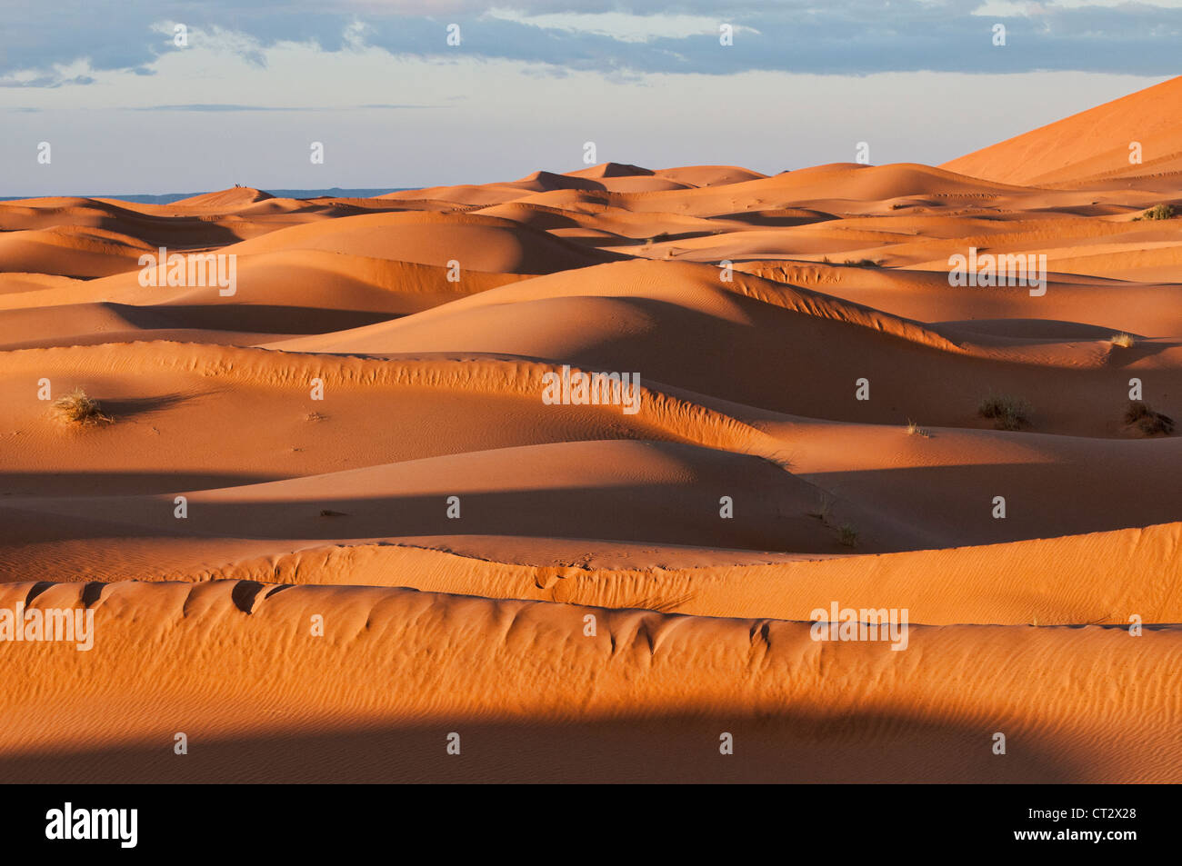 schönen Sanddünen bei Sonnenaufgang in der Sahara in der Nähe von Merzouga, Erg Chebbi, Marokko Stockfoto