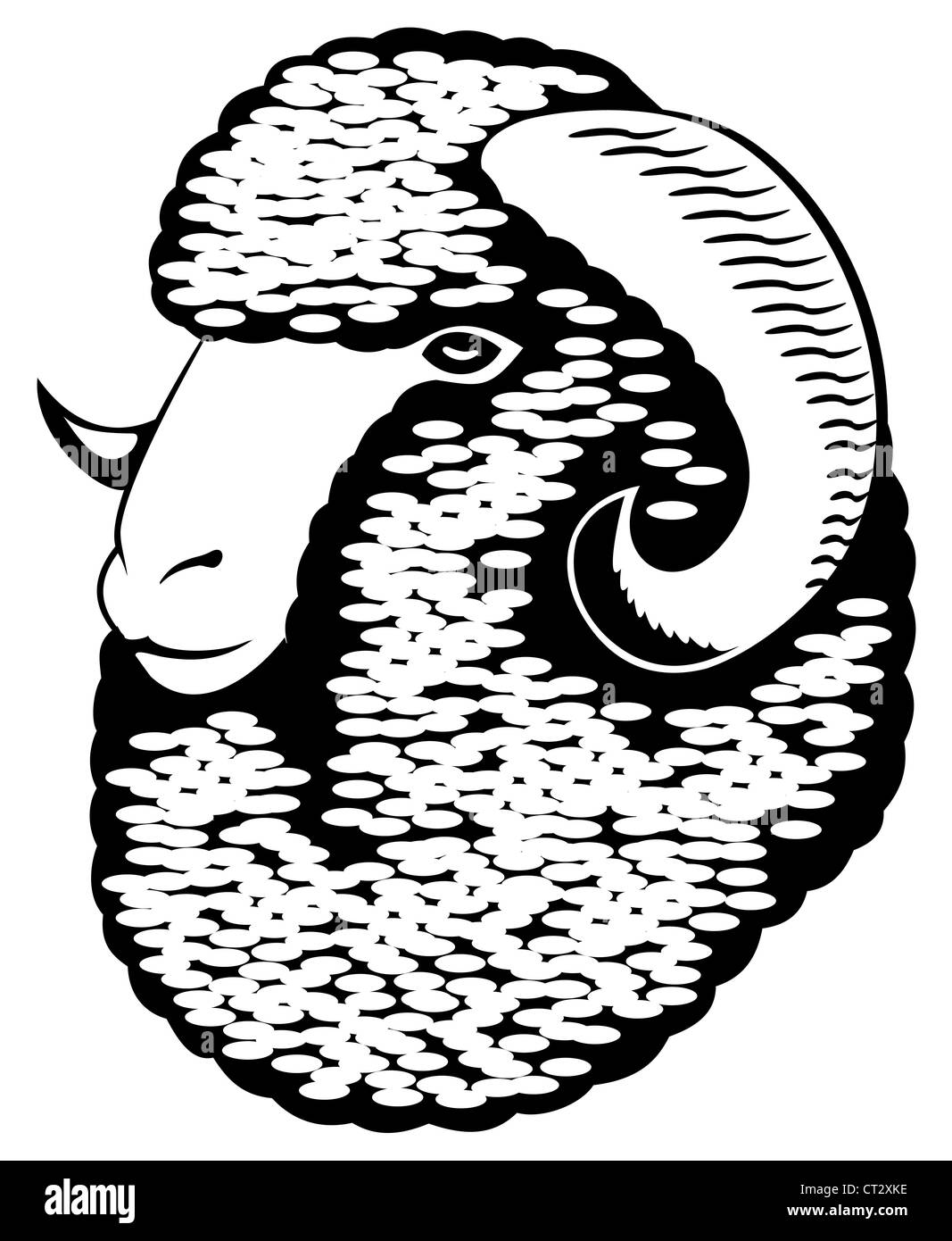 Porträt eines Merino-Schafes. Schwarz / weiß-Vektorgrafiken. Stockfoto