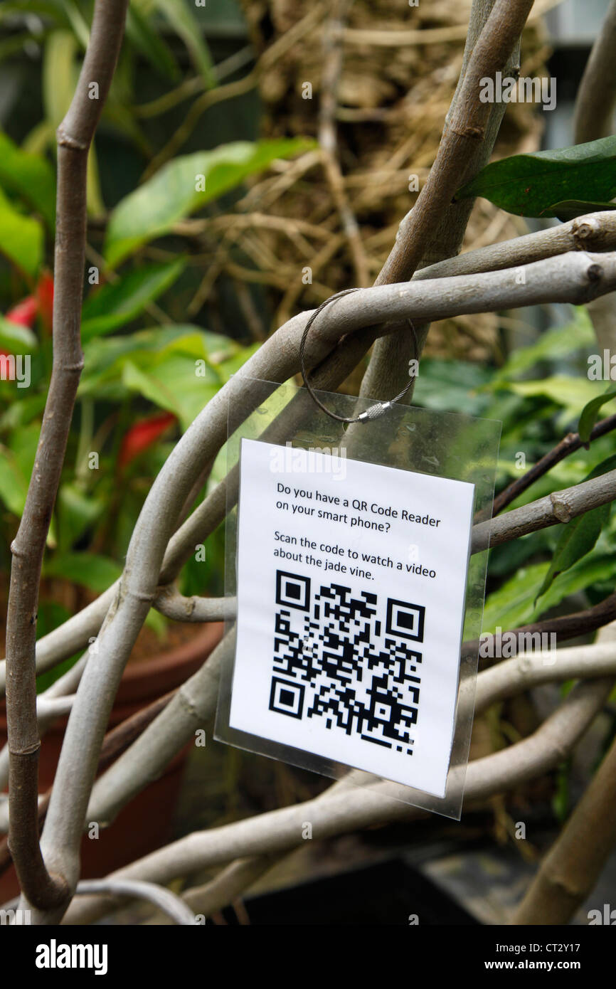 QR-Code auf einer Pflanze in einem botanischen Garten. Besucher erfahren mehr über die Anlage. QR-Code-Reader, QR = Quick Response. Stockfoto