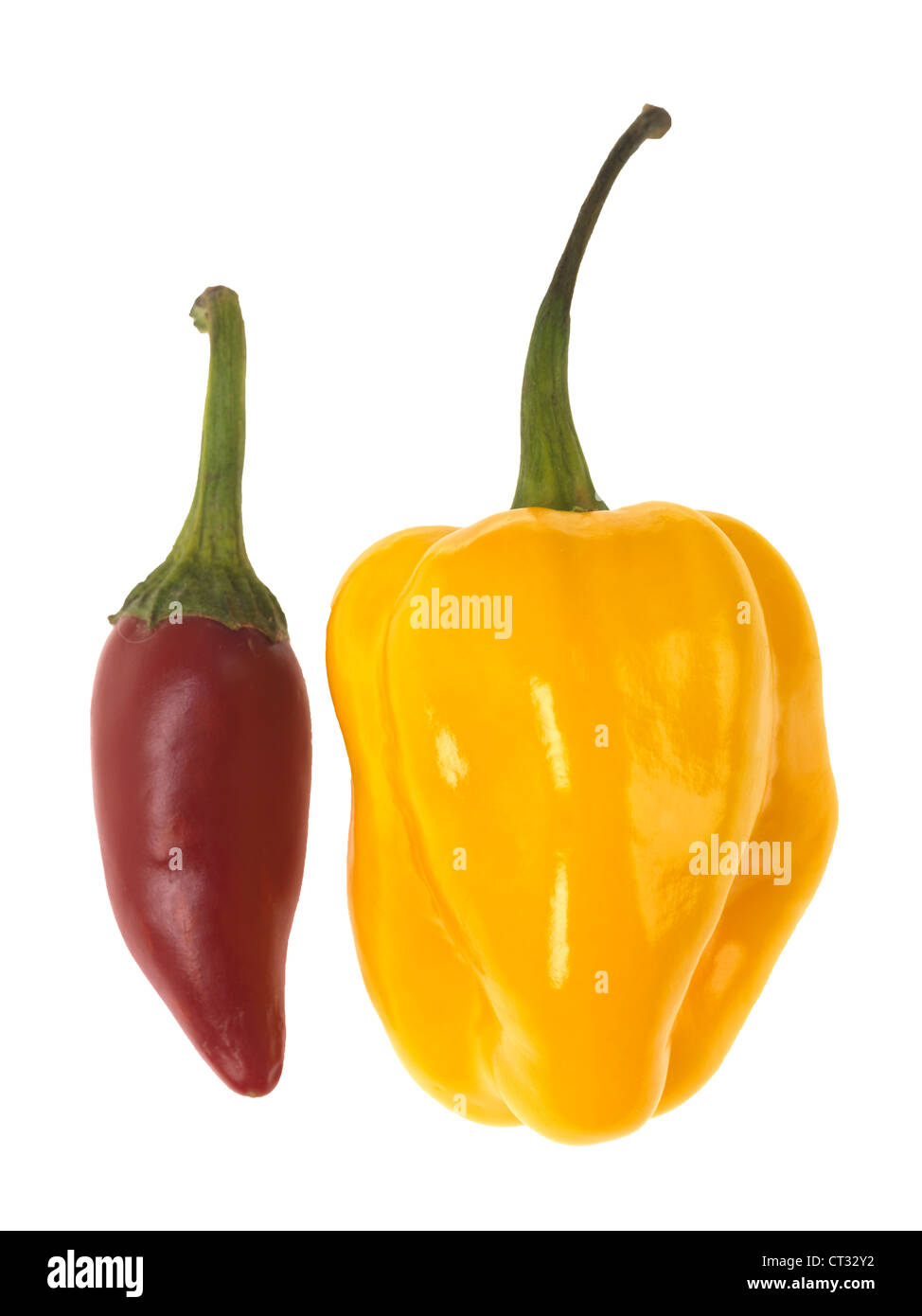 Rohen Chilis Stockfoto