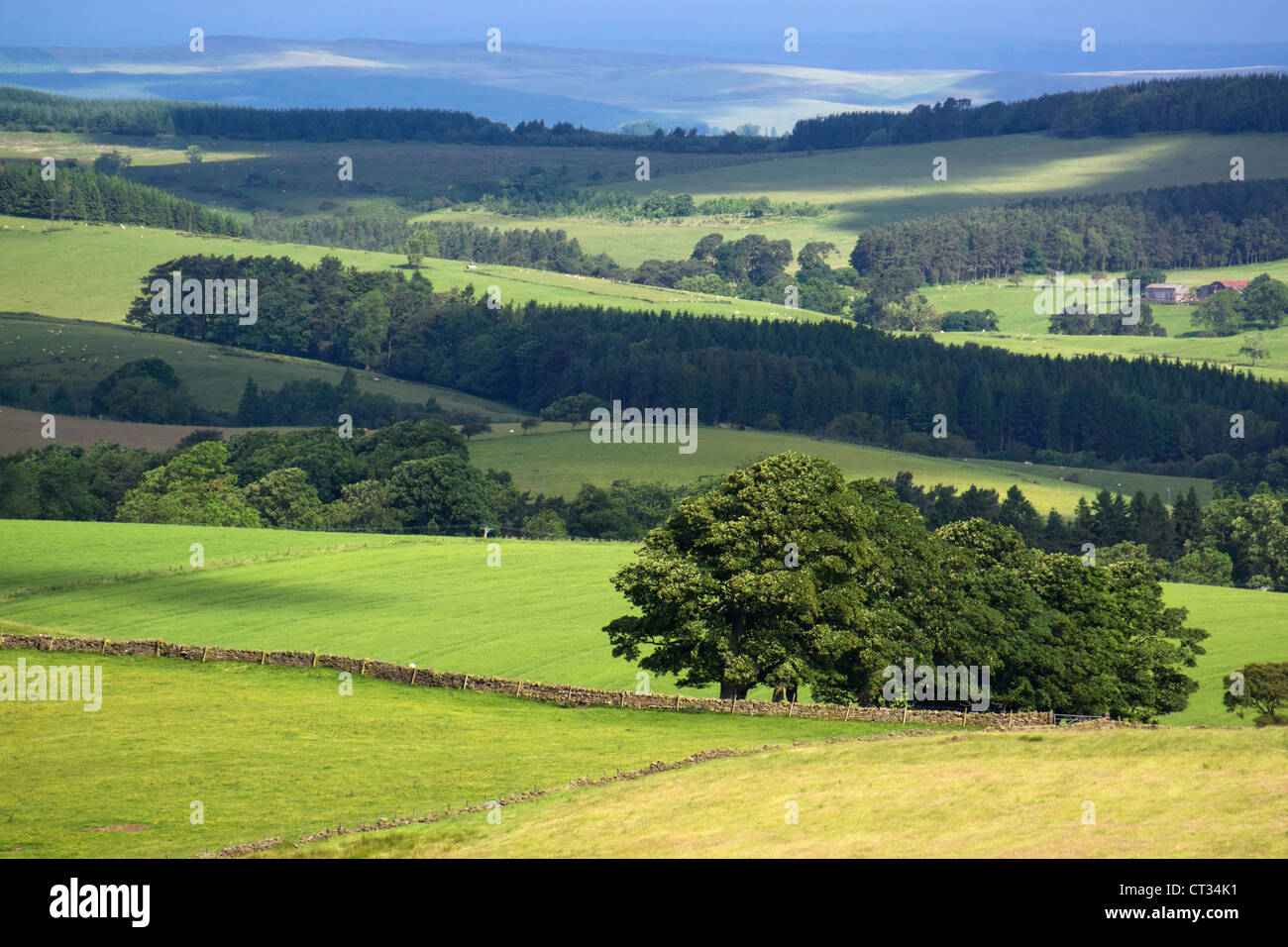 Blick auf die hügelige Landschaft von Hadrianswall in Northumberland. Stockfoto