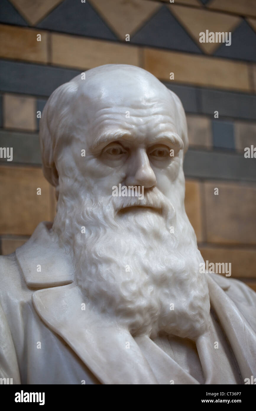 Charles Darwin (1809 - 1882). Portraitbüste. Natural History Museum. South Kensington, London. Stockfoto