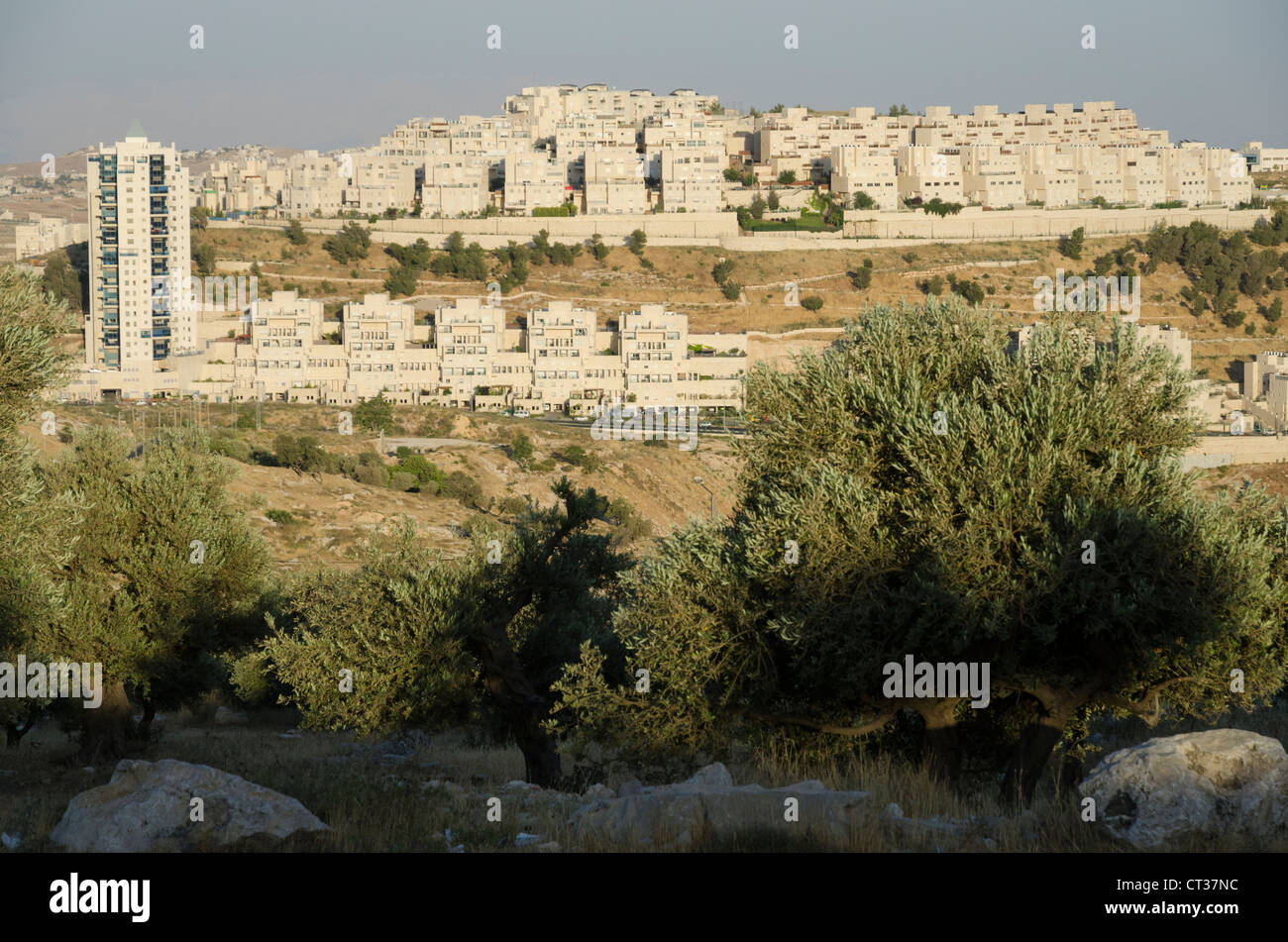 Har Homa Nachbarschaft im südlichen Ost-Jerusalem von weiten Teilen der Welt als eine illegale israelische Siedlung, israel Stockfoto