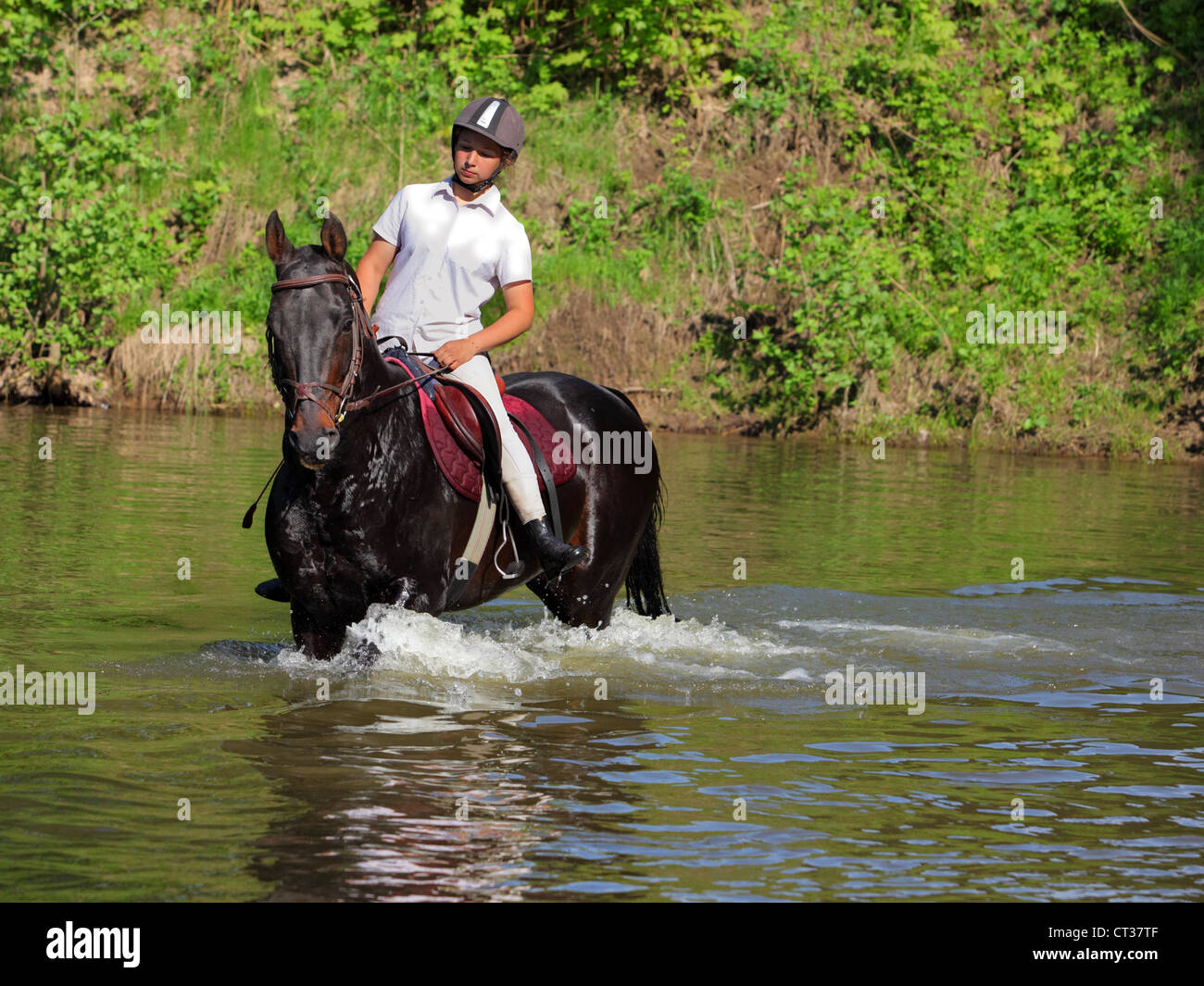 Pferdesport Mädchen und Pferd Schwimmer im Fluss Stockfoto