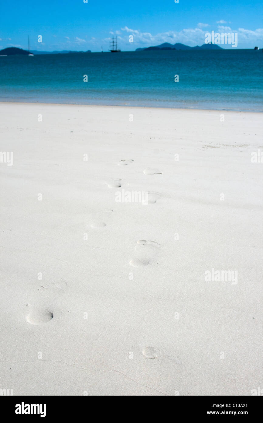 Fußabdrücke in Whitehaven Beach, Whitsunday Island, Australien Stockfoto