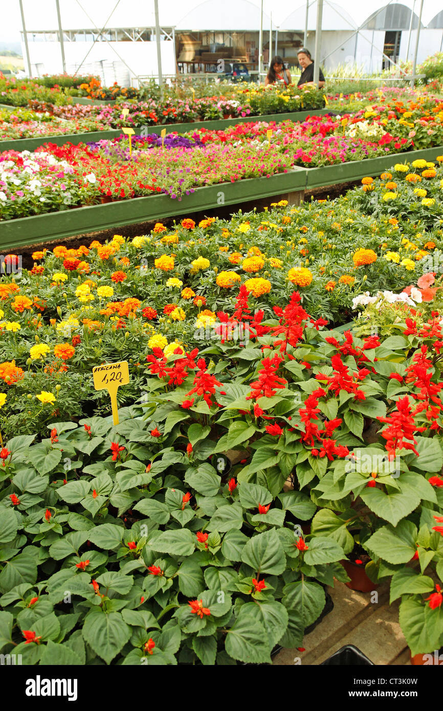 Garten-Center in Banyoles, Girona, Katalonien, Spanien. Stockfoto