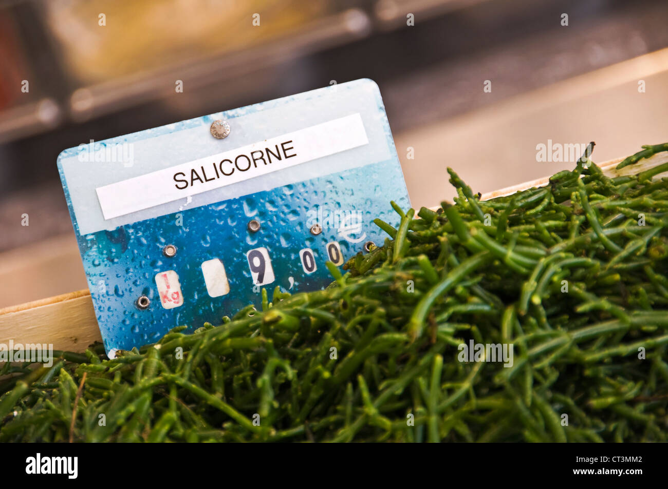 Salicornia in dem französischen Fischgeschäft - Trouville, Normandie, Frankreich Stockfoto