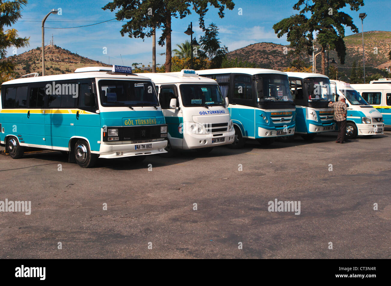 Türkei, Bodrum, Busbahnhof, typisch türkischen Kleinbusse Stockfoto