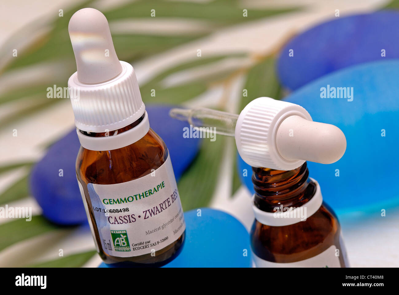 PFLANZLICHE ARZNEIMITTEL Stockfoto