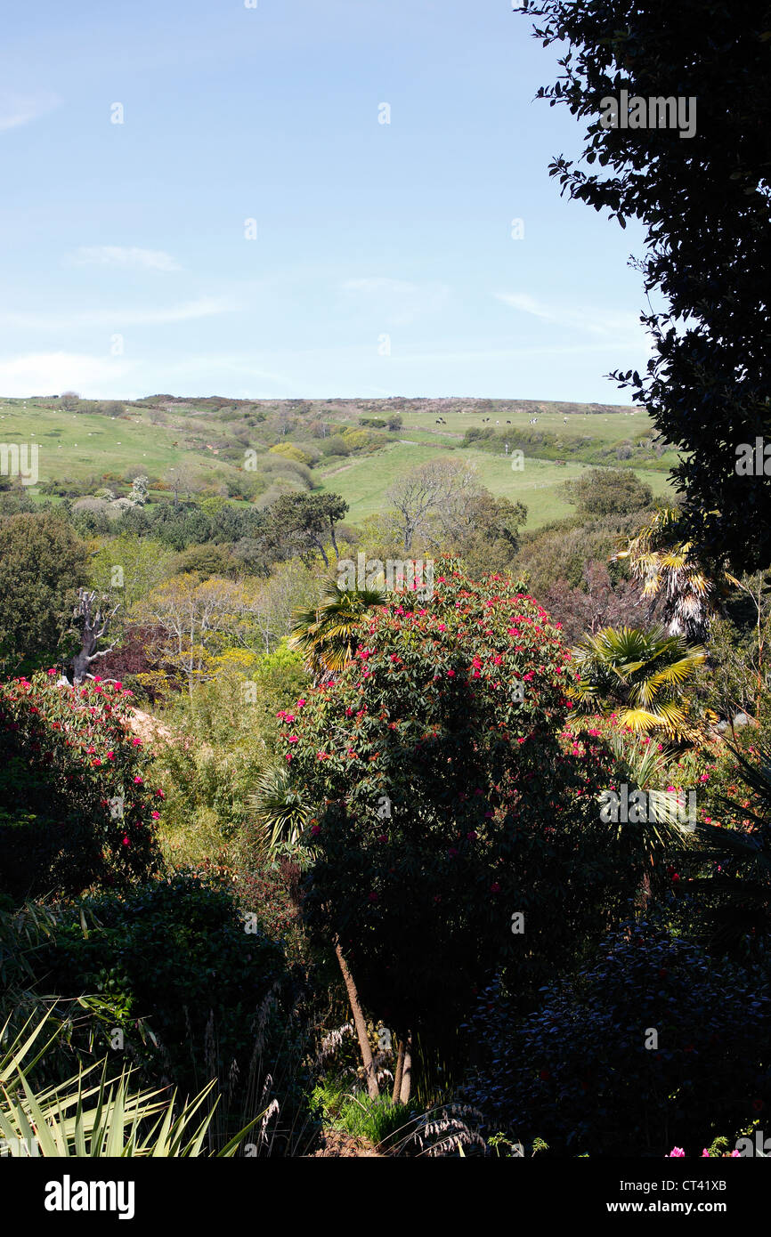 WHITE HILL IN DER NÄHE VON ABBOTSBURY DORSET UK. Stockfoto