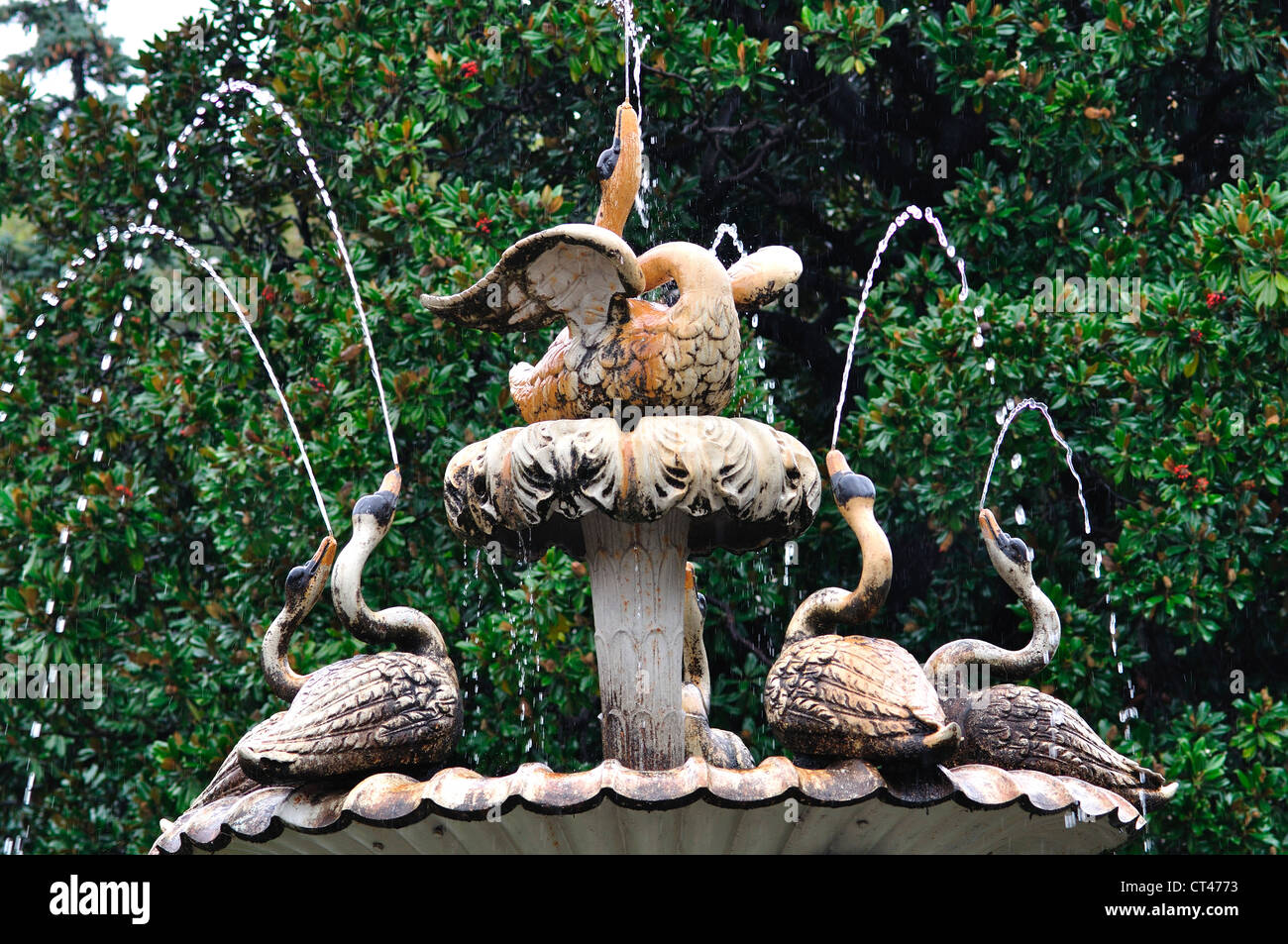 Dolmabahce Garten Stockfotos und bilder Kaufen Alamy