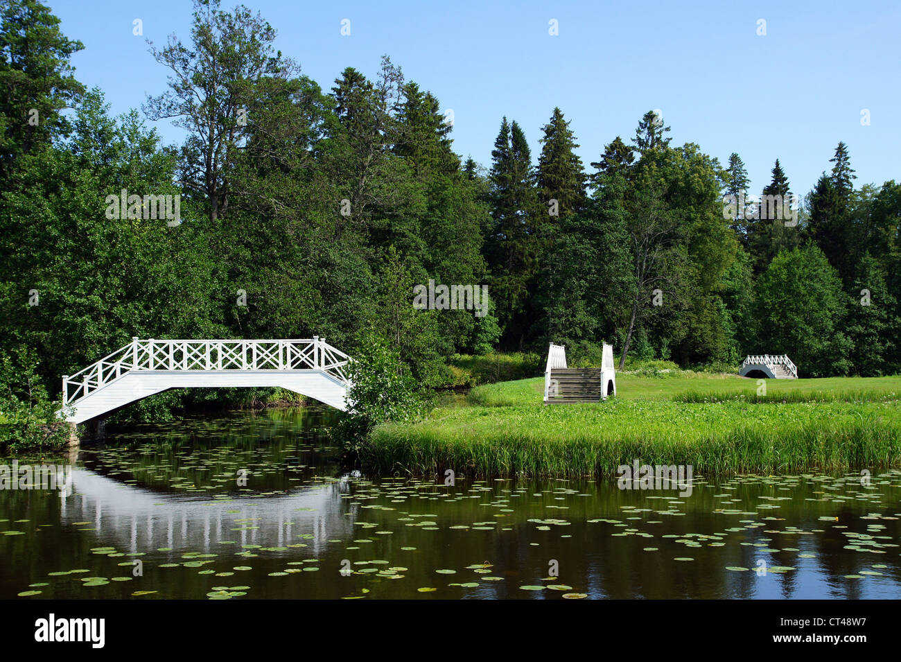 Die weiße Brücke auf einem Hintergrund von einem grünen Rasen und Bäumen Stockfoto