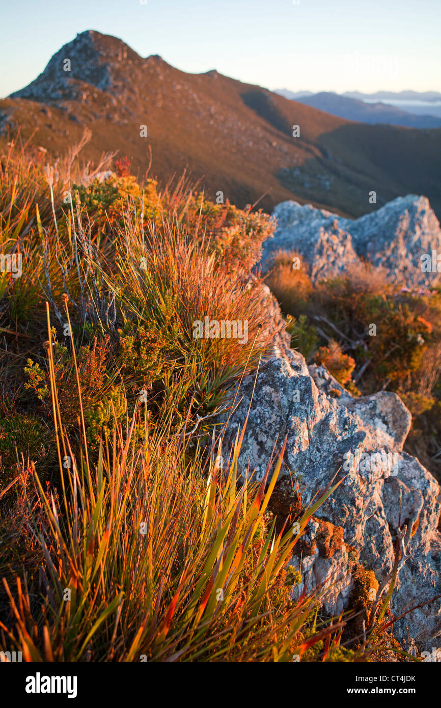 Blick vom Gipfel des Mt Stokes Mt Berry Tasmaniens-Southwest-Nationalpark Stockfoto