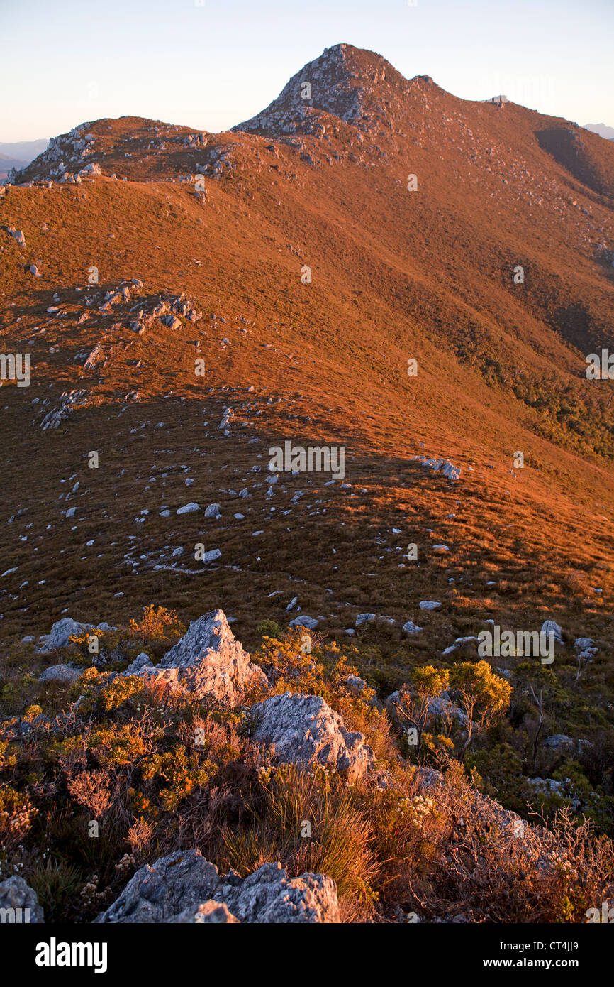 Blick vom Gipfel des Mt Stokes Mt Berry Tasmaniens-Southwest-Nationalpark Stockfoto