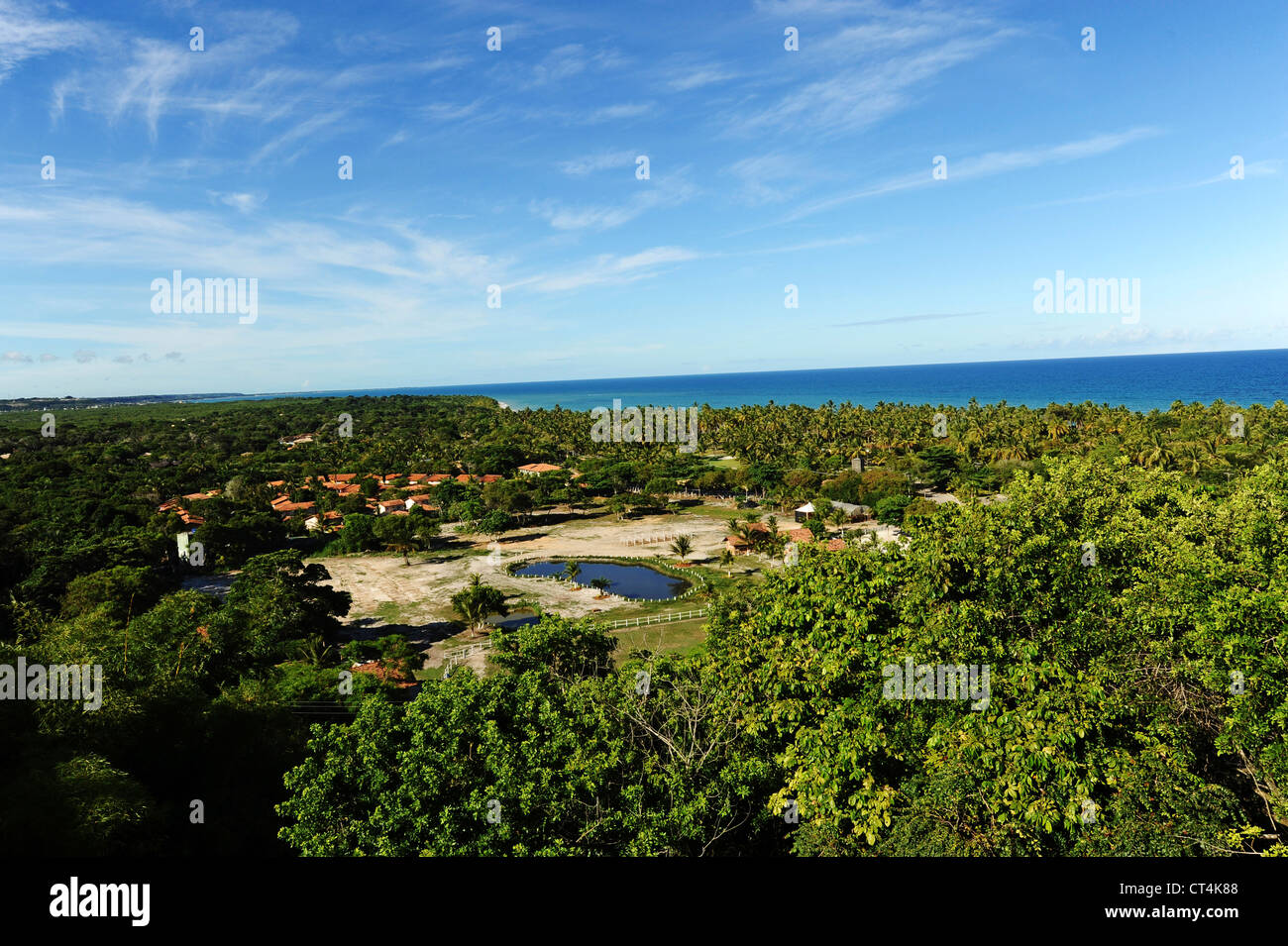 Brasilien, Bahia, Porto Seguro, Arraial d ' Ajuda, Blick auf die Bucht mit Palmen Stockfoto