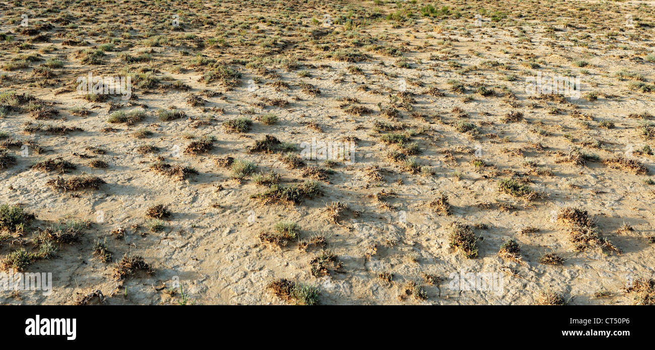 trocken, Hintergrund, karge, Klima, klimatischen, verlassenen, trocken, Erde, Ökosystem, Umwelt, globale Erwärmung, Lebensraum, Hitze, heiß, m Stockfoto