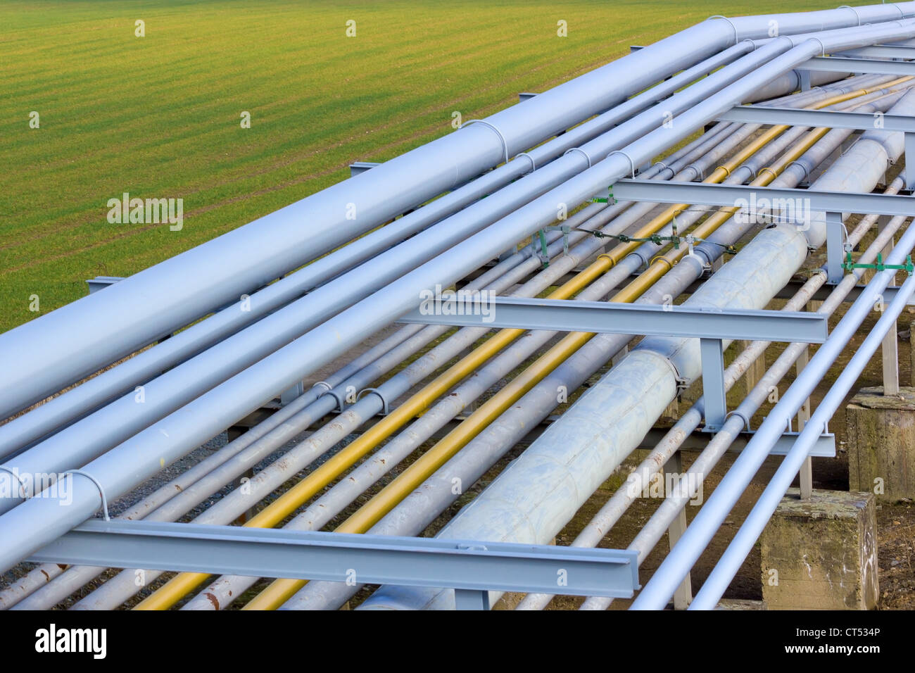 Pipelinerohre auf grüner Wiese Stockfoto