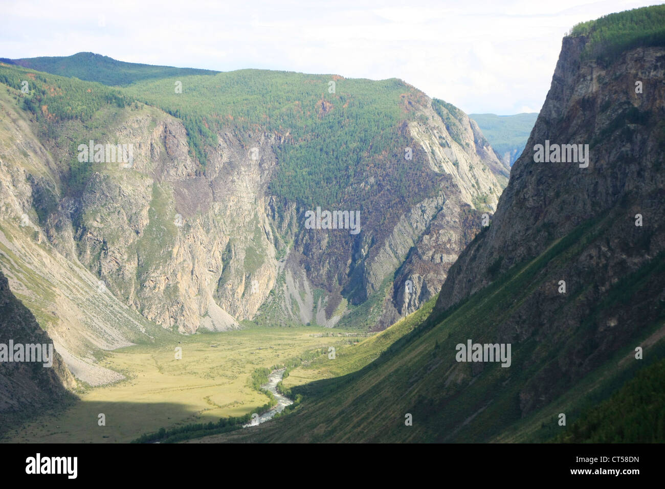 Fluss Chulyshman Canyon, Altai, Sibirien, Russland Stockfoto