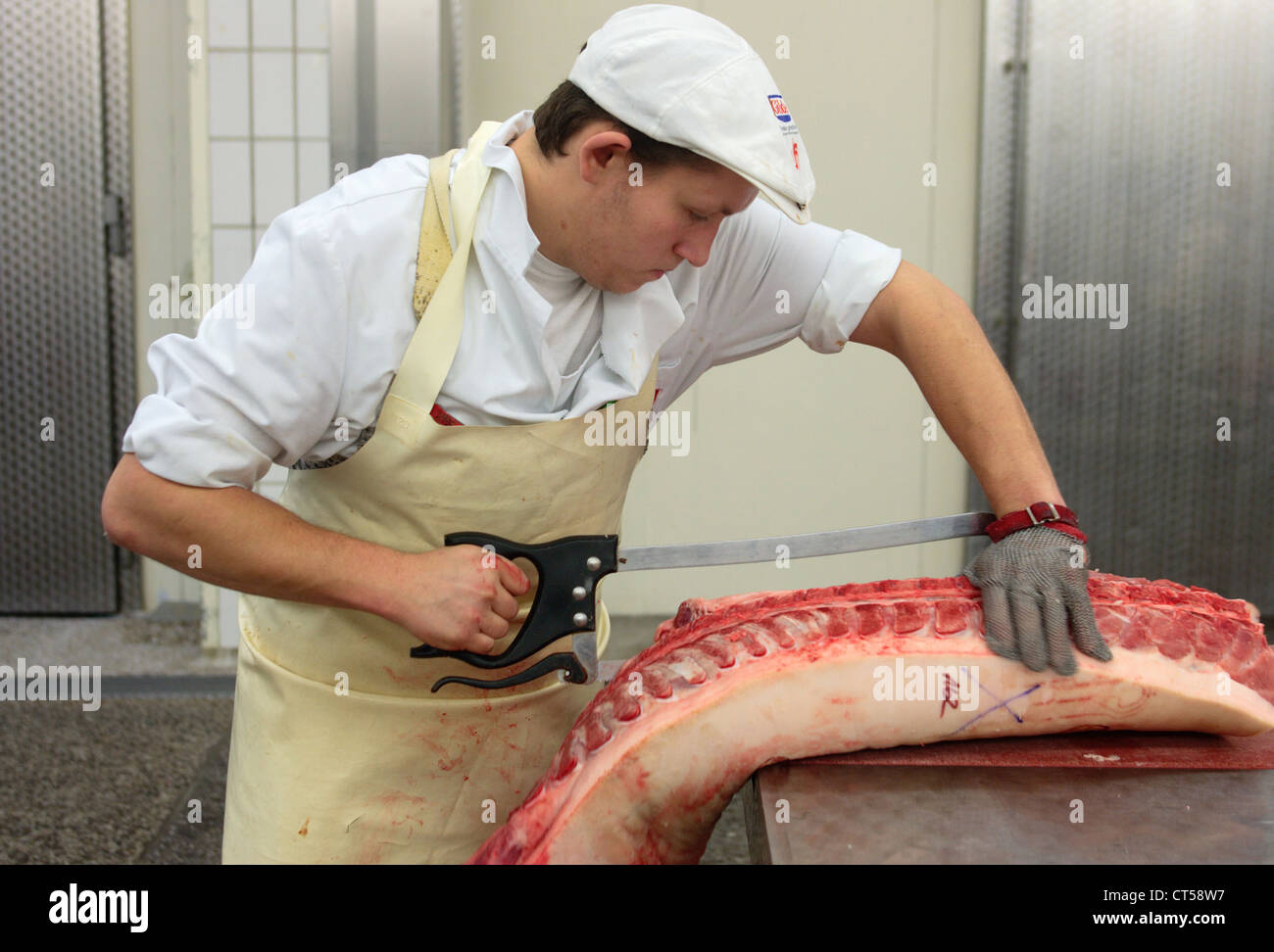 Lehrling Metzger Stockfoto