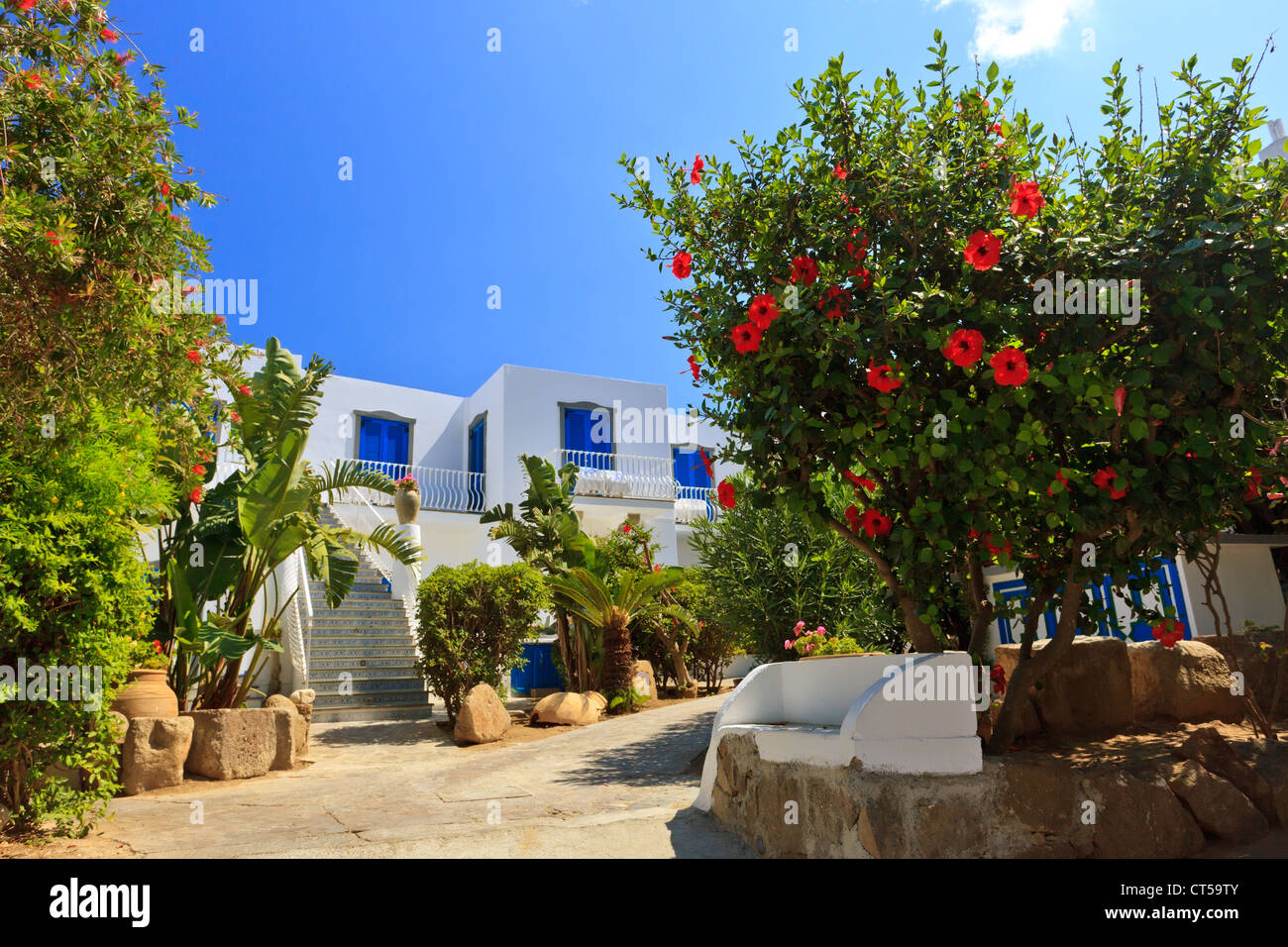 Erstaunliche mediterranen Stil von Panarea Architektur und flora Stockfoto