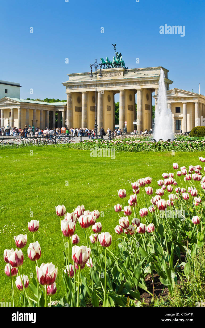 Berlin Brandenburg Gate Tulips Stockfotos Und Bilder Kaufen Alamy