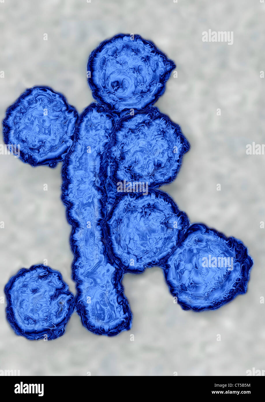 HEPATITIS B-VIRUS Stockfoto