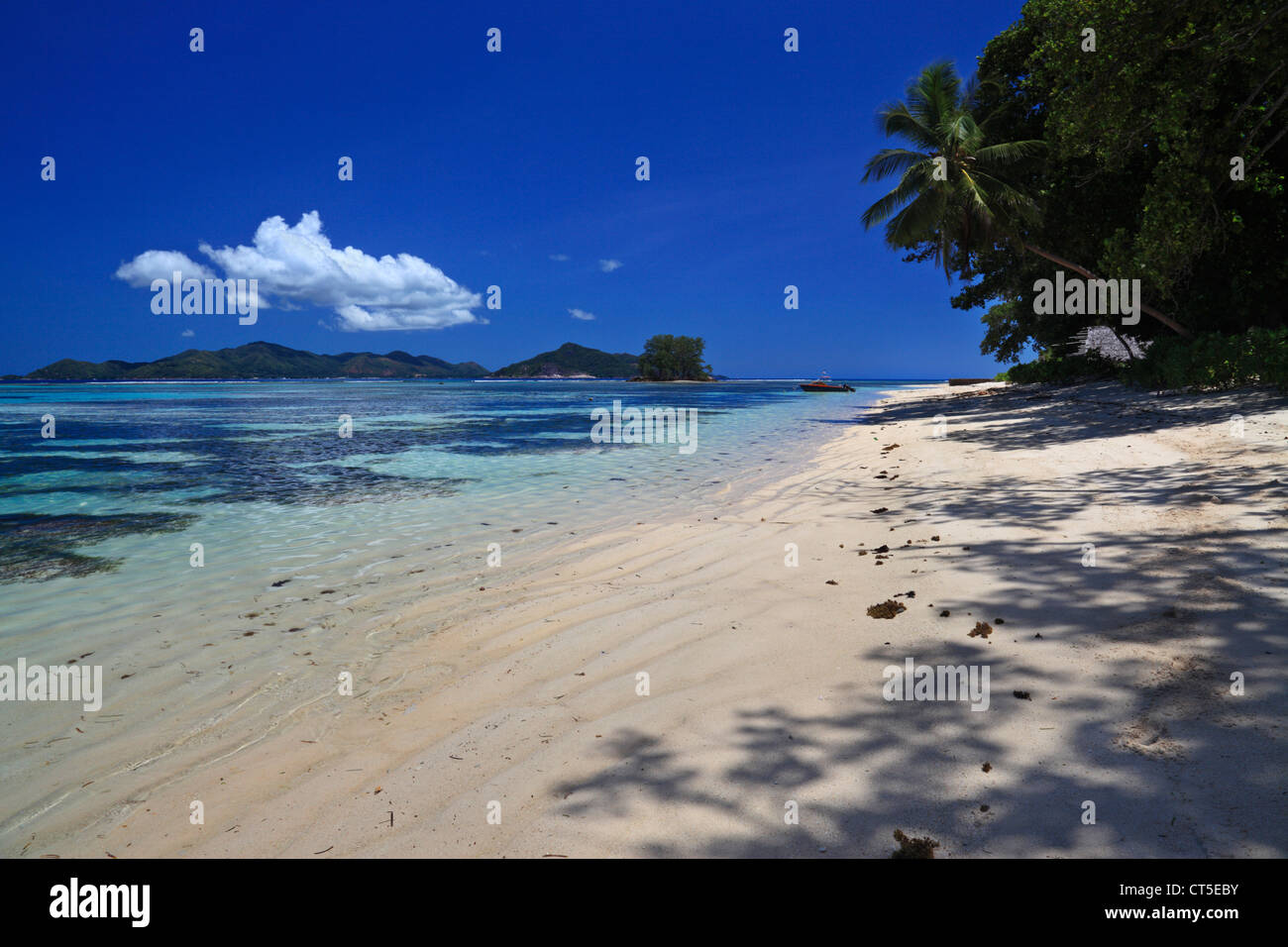 Tropische Schönheit in der Nähe von Anse Source d ' Argent, La Digue, Seychellen, Indischer Ozean auf La Digue auf den Seychellen Stockfoto