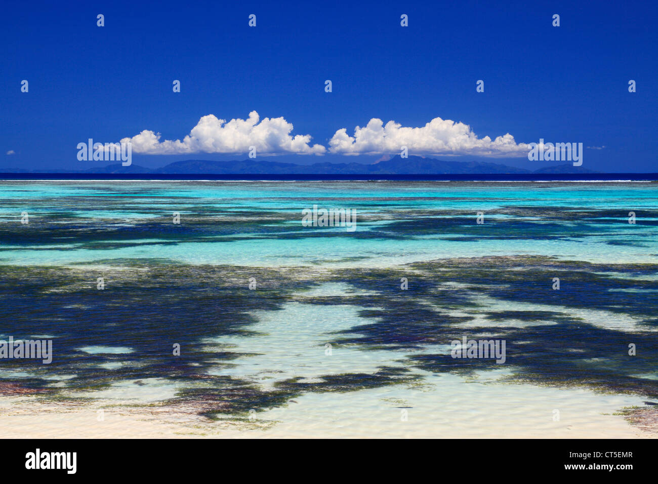 Tropische Schönheit in der Nähe von Anse Source d ' Argent, La Digue, Seychellen, Indischer Ozean auf La Digue auf den Seychellen Stockfoto