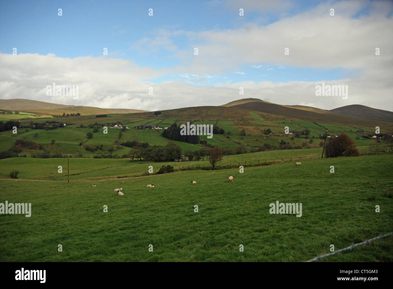 Sperrin Mountains in der Grafschaft Tyrone, Nordirland Stockfoto