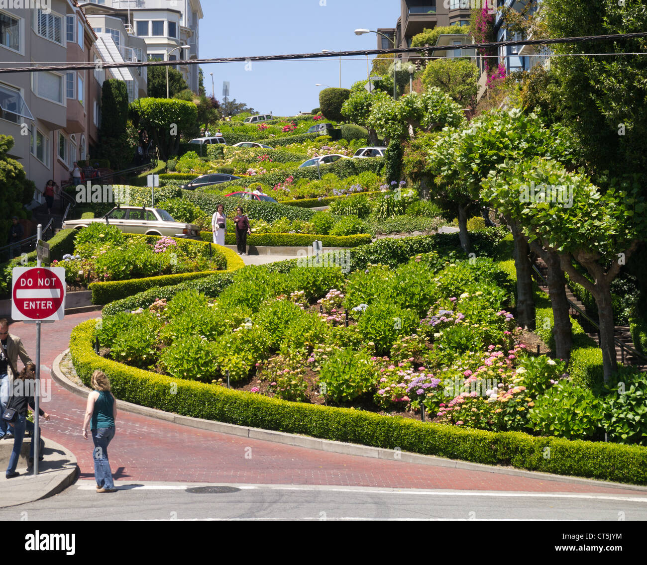 Lombard Street in San Francisco ist die bendiest Straße in der Welt genannt. Stockfoto