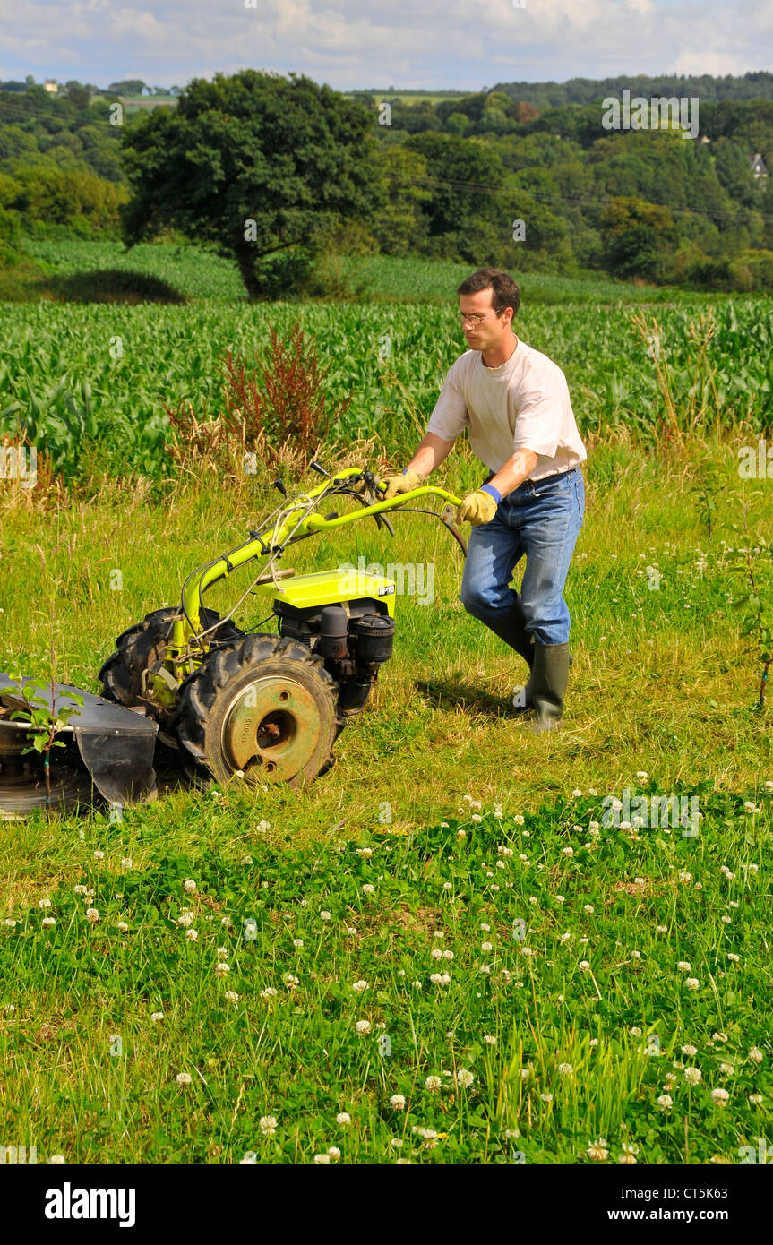 ÖKOLOGISCHEN LANDBAU Stockfoto