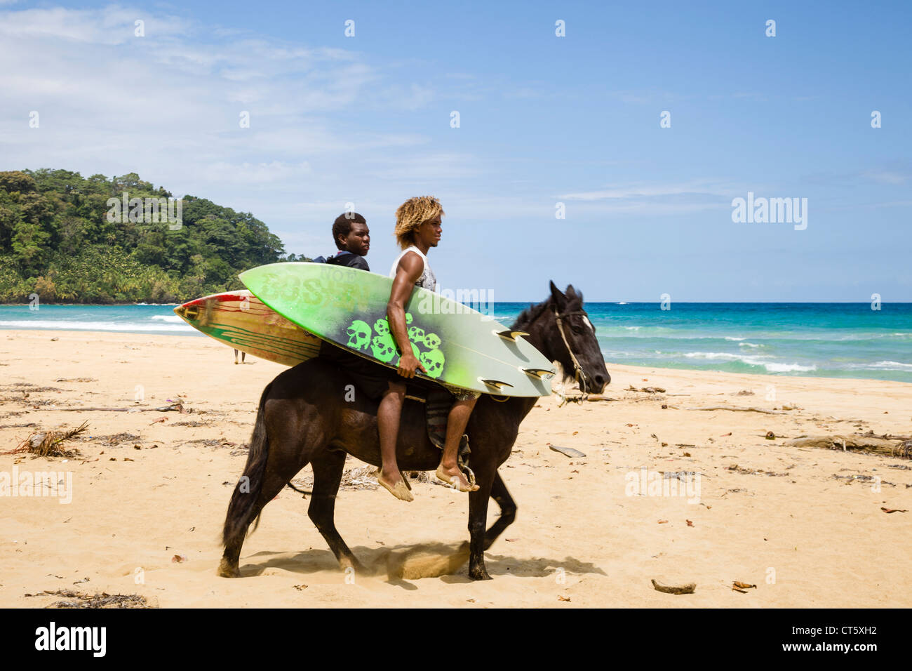 Paar der Surfer auf einem Pferd im Assistenten Strand (erste) auf Isla Bastimentos, Bocas del Toro, Panama. Stockfoto