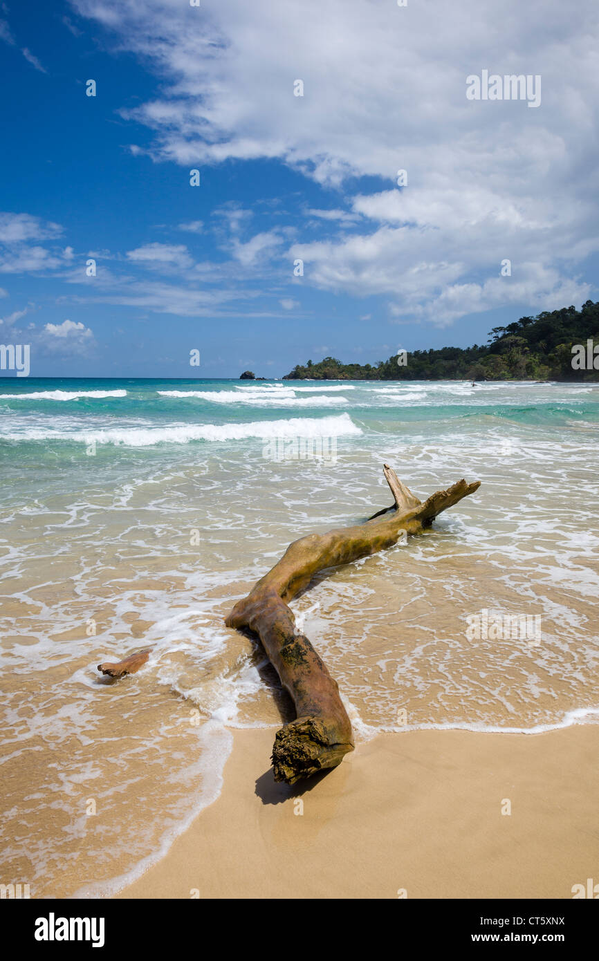 Wellen Waschen über Assistenten Strand (erste) auf Isla Bastimentos, Bocas del Toro, Panama. Stockfoto
