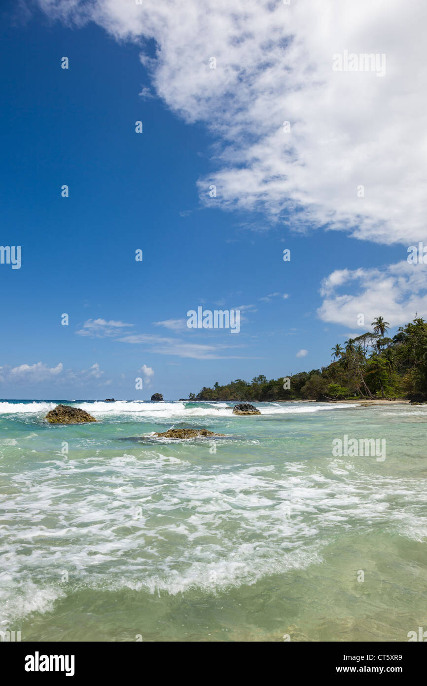 Türkis Meer stürzt gegen den Dschungel Küste der Isla Bastimentos, Bocas del Toro, Panama. Stockfoto
