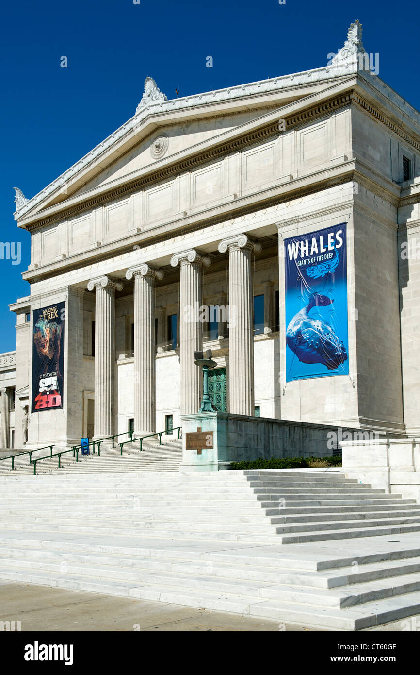 Field Museum of Natural History in Chicago, Illinois, USA. Stockfoto