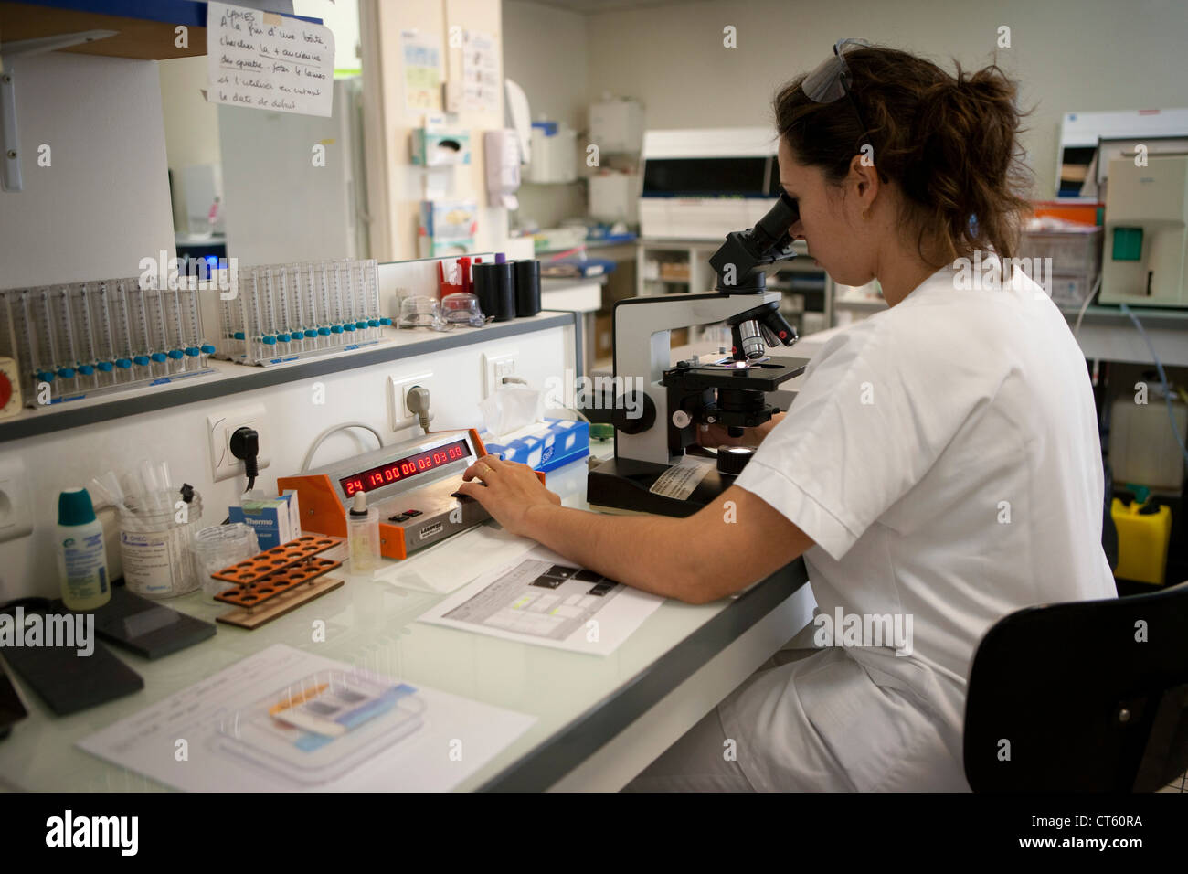 BLUT-ANALYSE Stockfoto