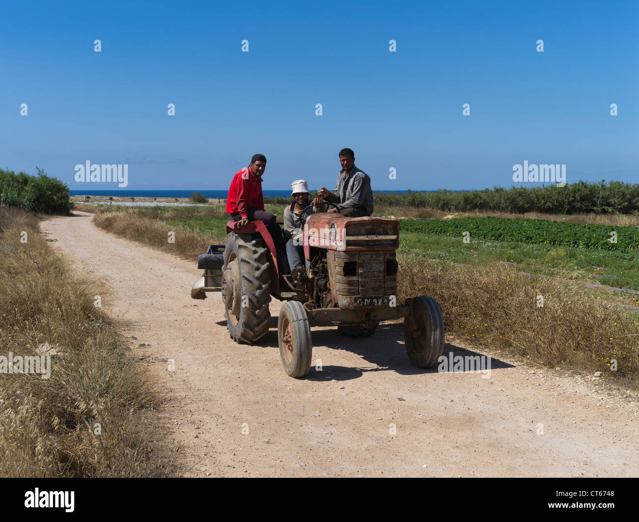 dh zypriotische Farmarbeiter LANDWIRTSCHAFT SÜDZYPERN Männer Rückkehr von Feldern auf Traktor griechenland Landwirtschaft Menschen Einheimischen Bauernhof Stockfoto