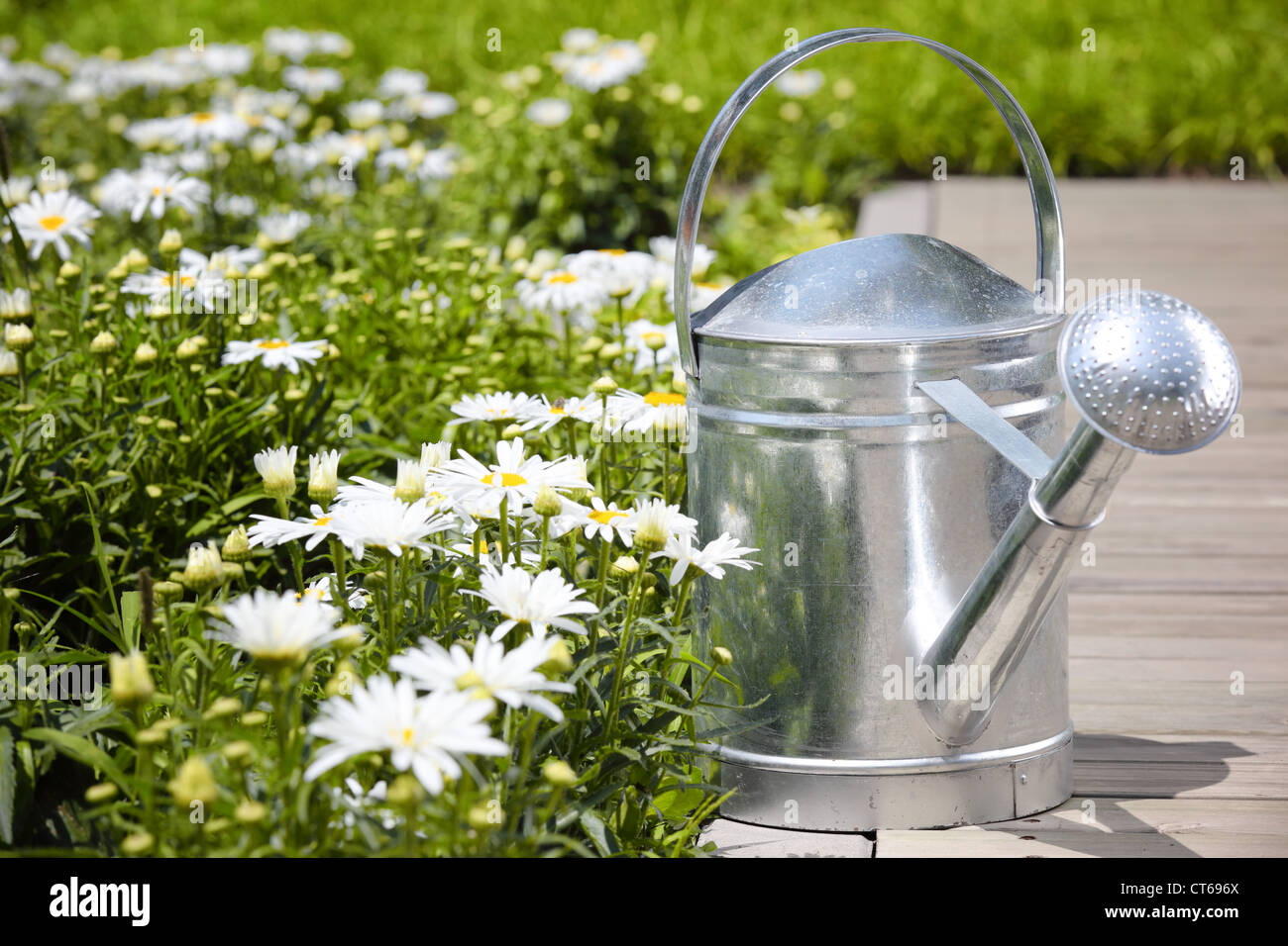 Gießkanne außerhalb in einem Garten Stockfoto